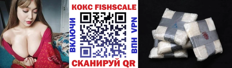 Купить закладки  Ивдель  COCAIN 99% 