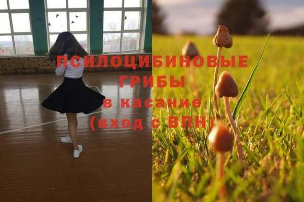 стаф Горно-Алтайск